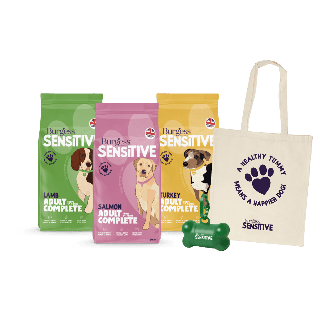 Sensitive Taste & Travel Pack product image