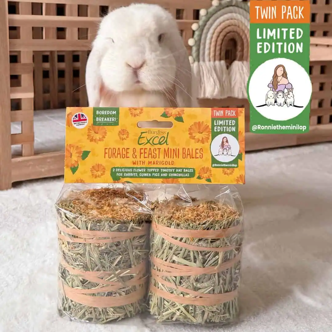 Excel Forage & Feast Mini Bale with Marigold Twin Pack product image