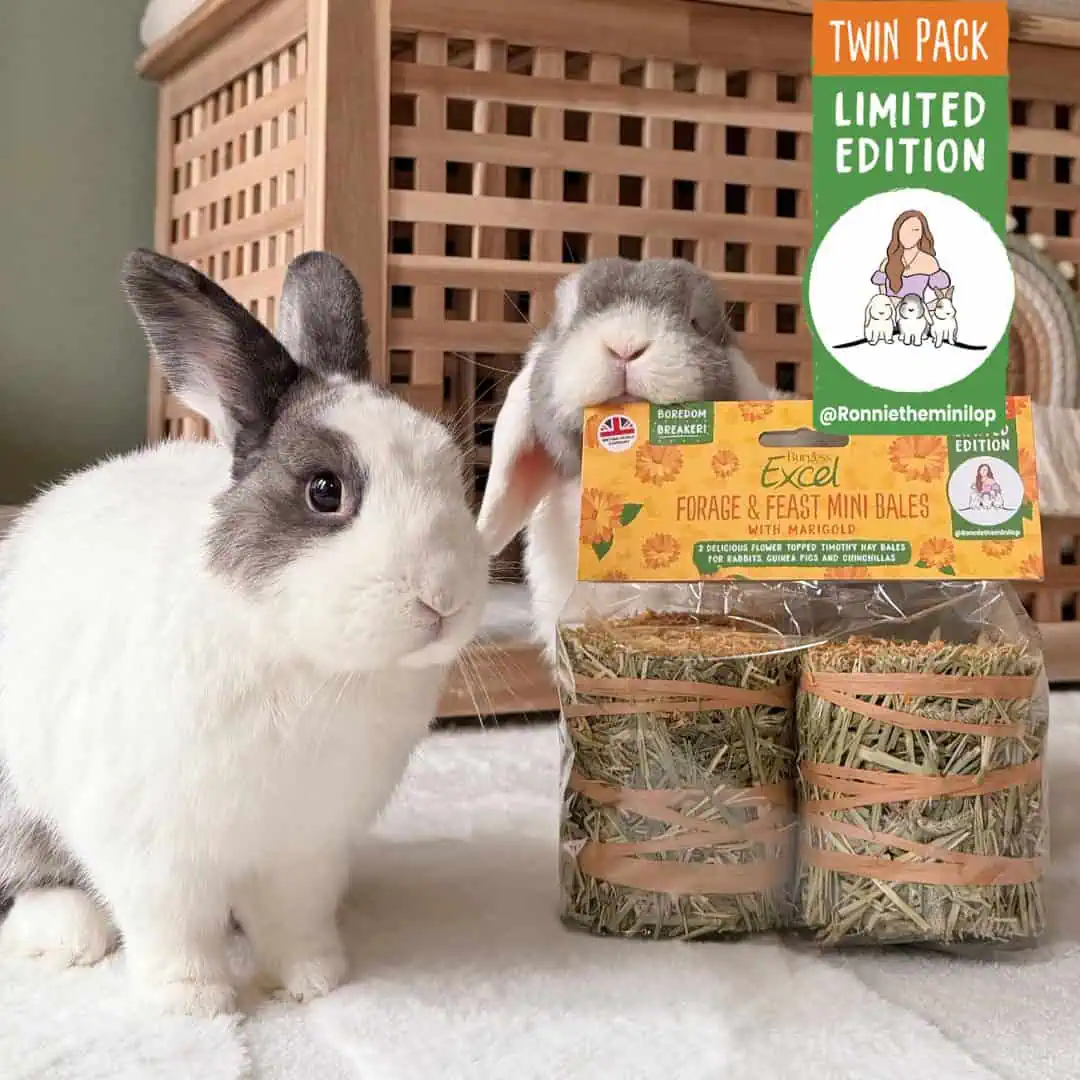 Excel Forage & Feast Mini Bale with Marigold Twin Pack product image