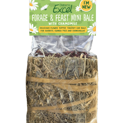 Product image for Excel Forage & Feast Mini Bale with Chamomile – 100g