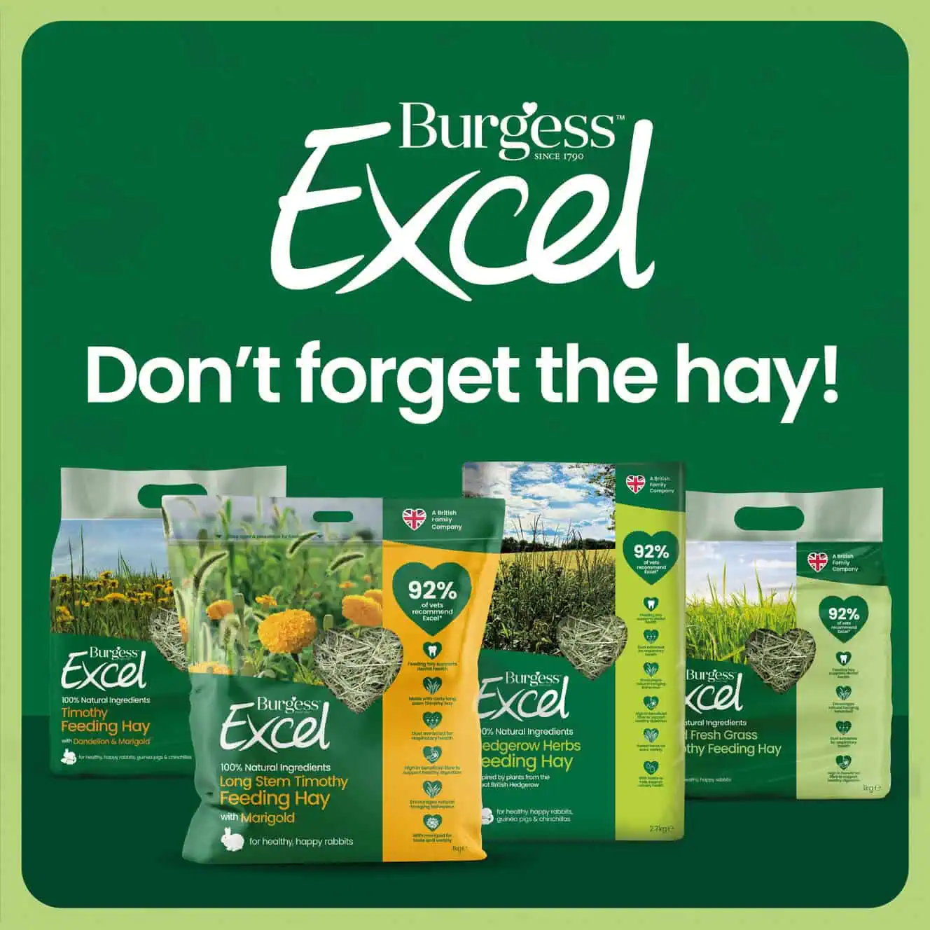 Burgess Excel Long Stem with Marigold Feeding Hay product image