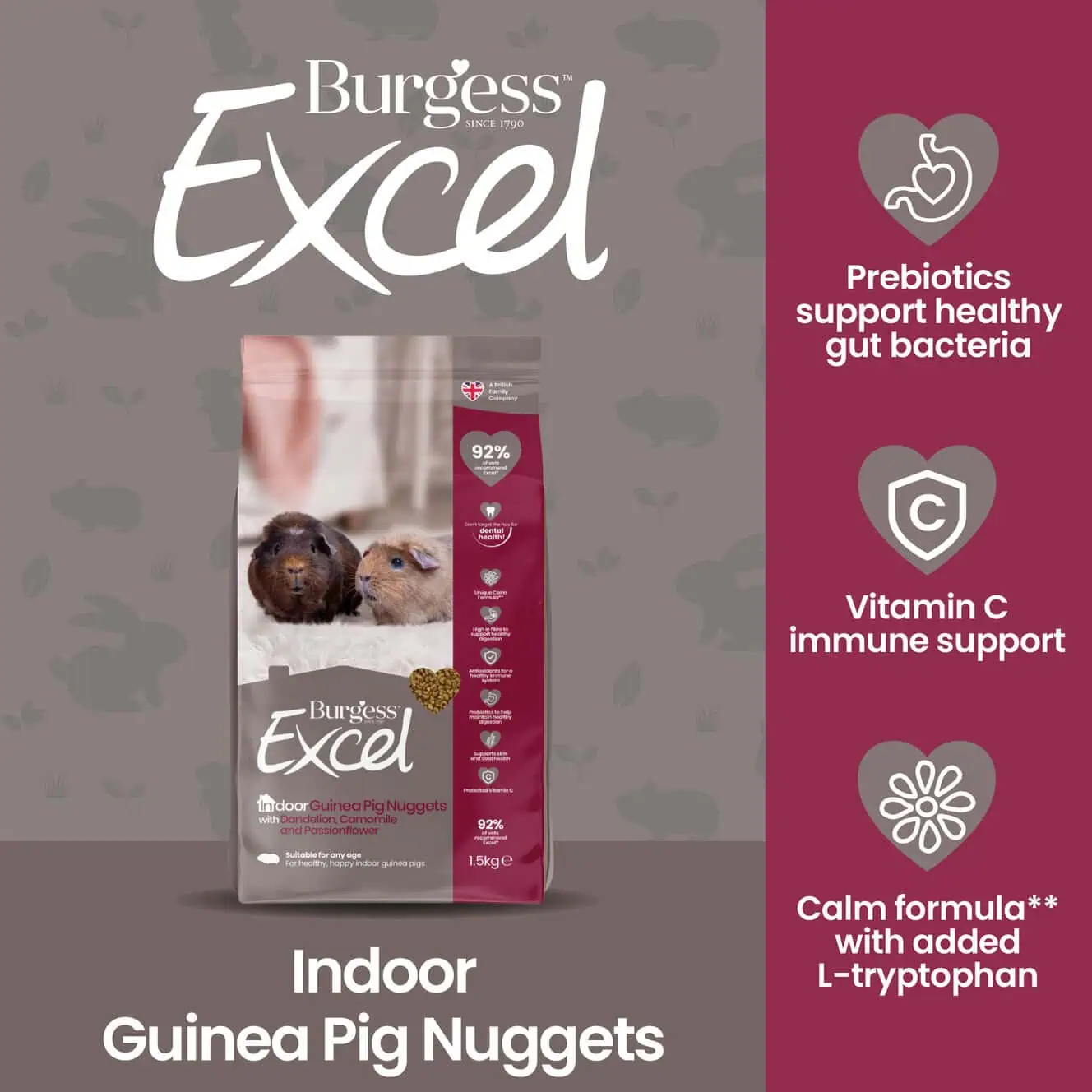 Excel Indoor Guinea Pig Nuggets product image