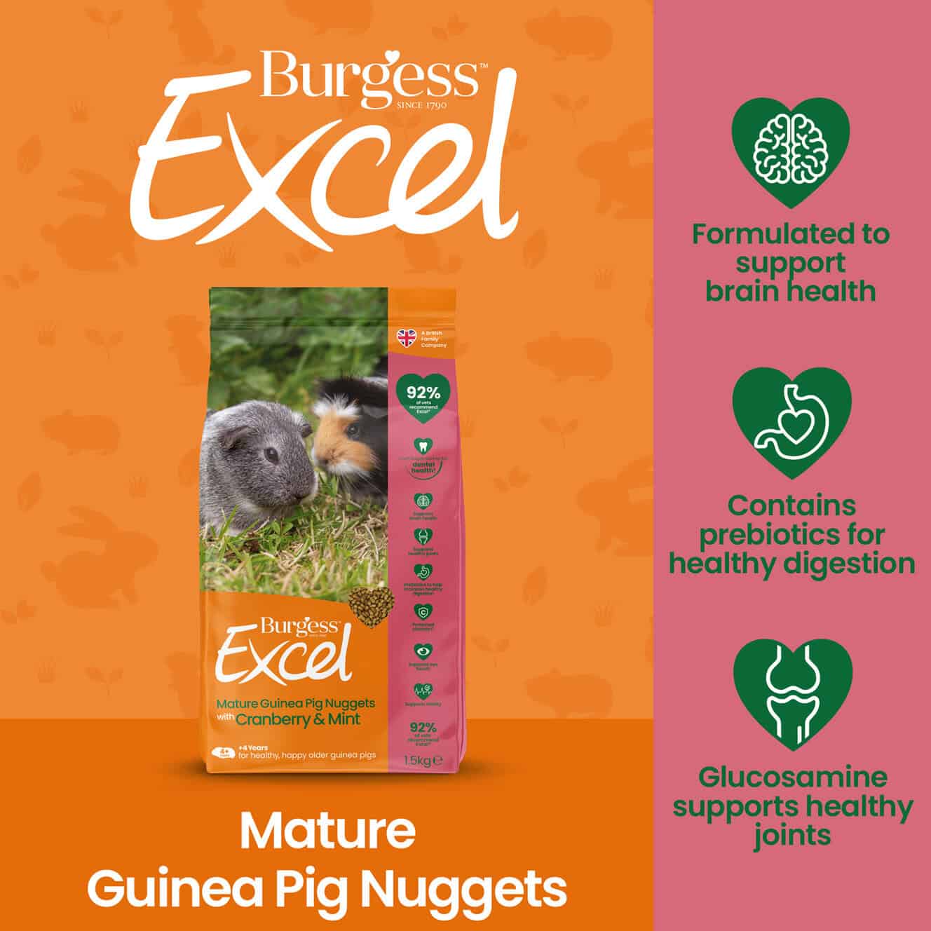 Excel Mature Guinea Pig Nuggets product image