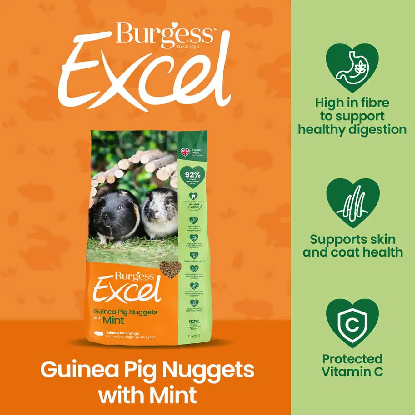 Excel Guinea Pig Nuggets with Mint product image