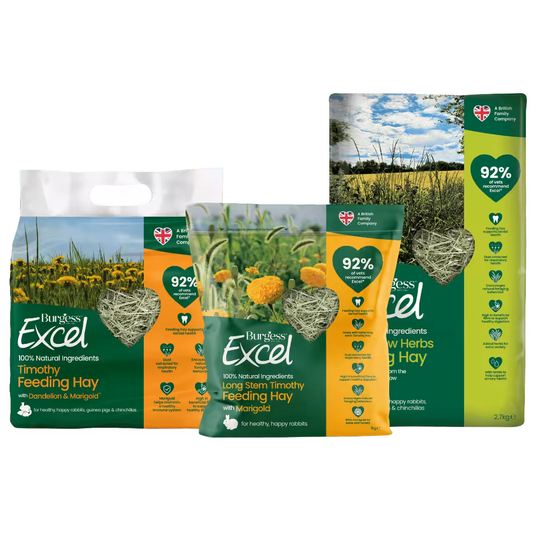 excel hay
