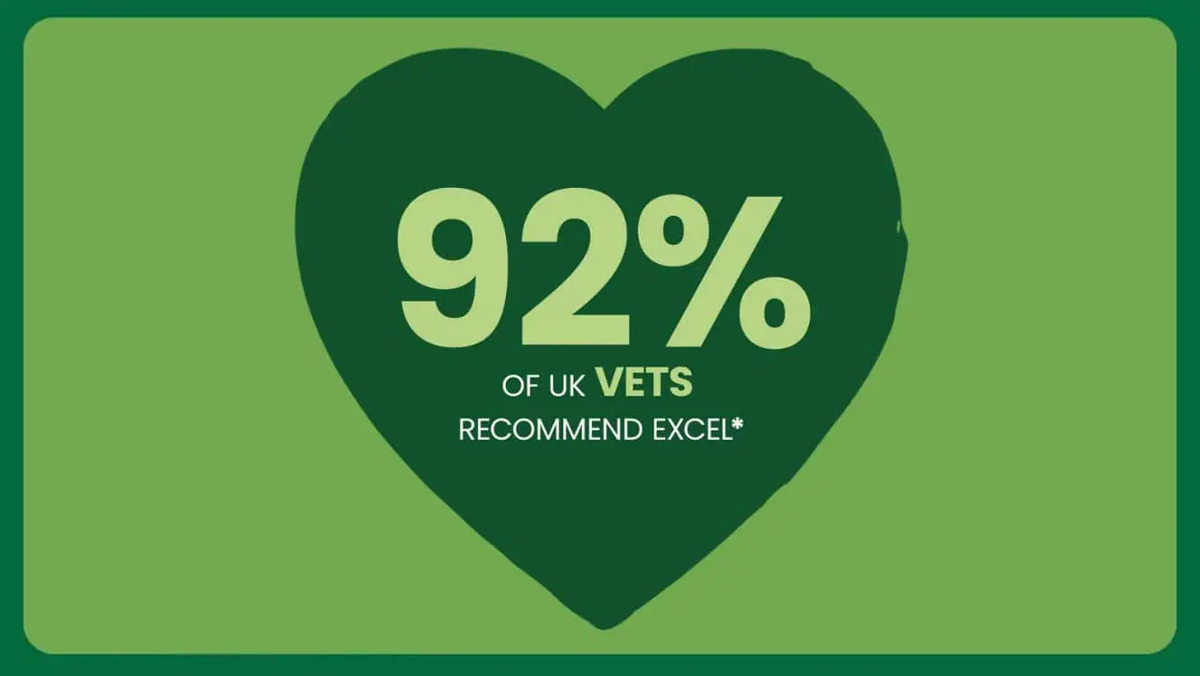 excel vets