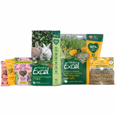Product image for Binky Bundle – RAW 2026