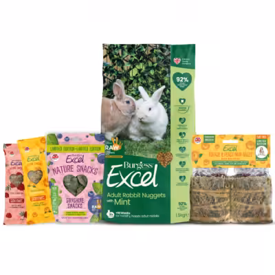 Product image for Hoppy Bundle – RAW 2026