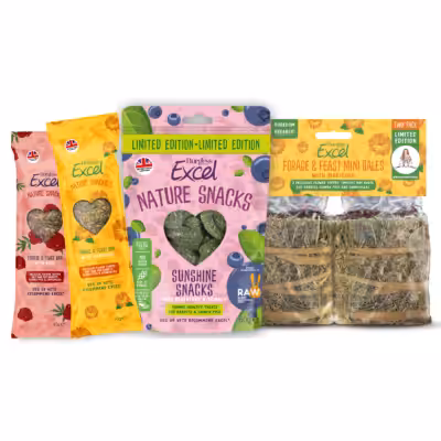 Product image for Nibble Bundle – RAW 2026