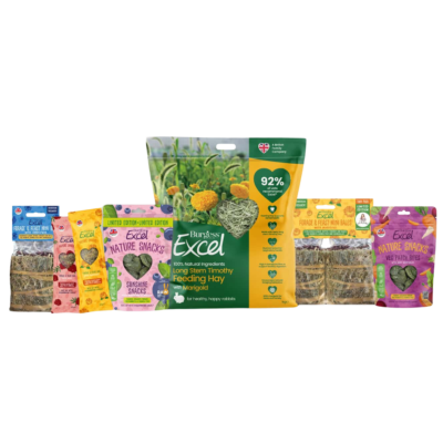 Product image for Birthday Bundle – RAW 2026