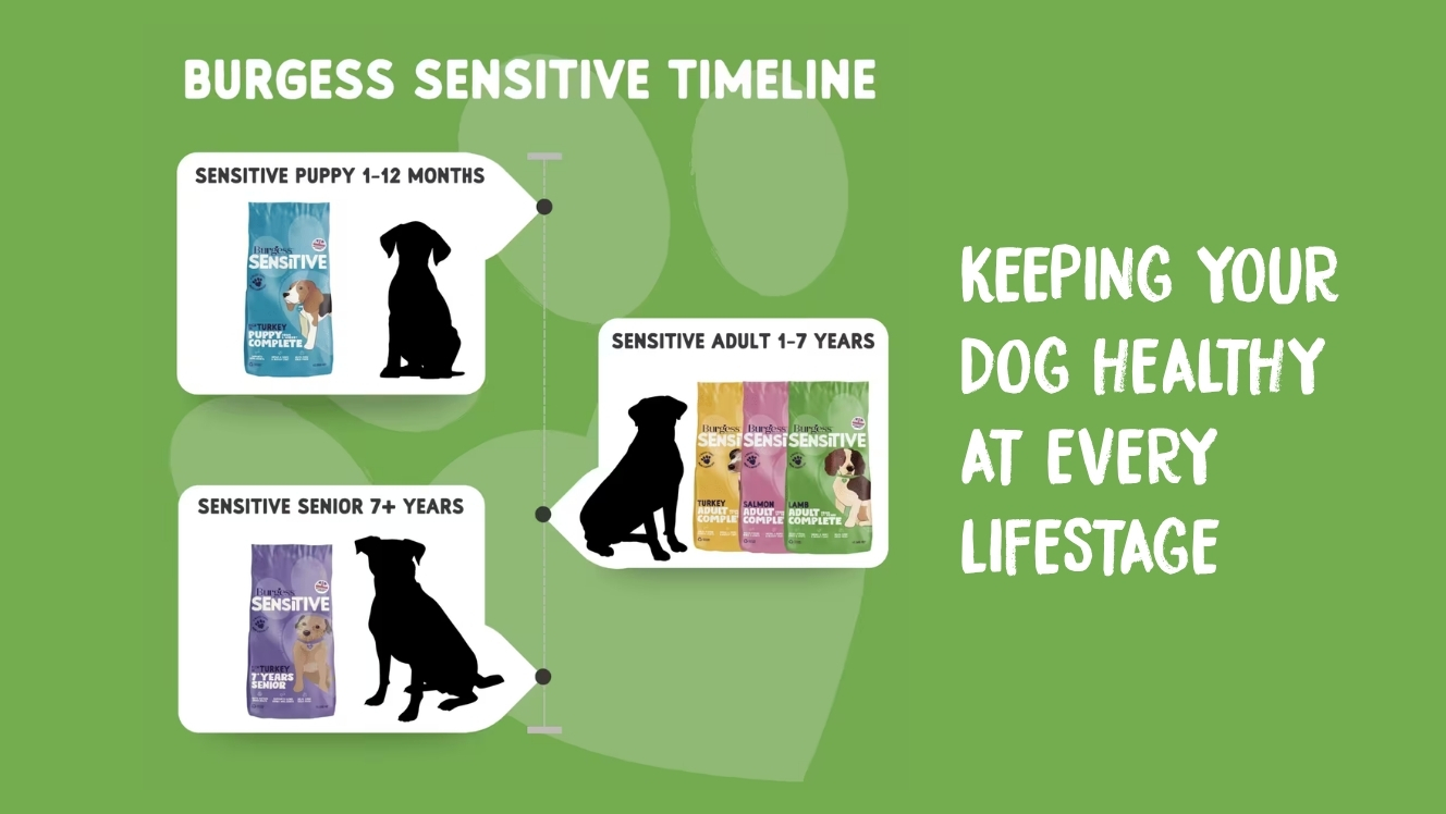 Image for Dry food for sensitive dogs