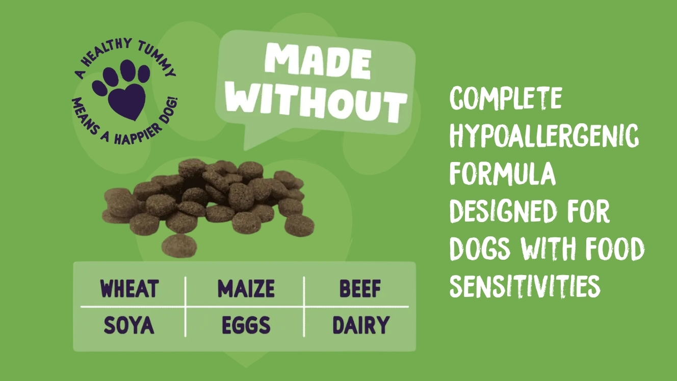 Image for Why might you need easy-to-digest sensitive dog food for your canine companion?